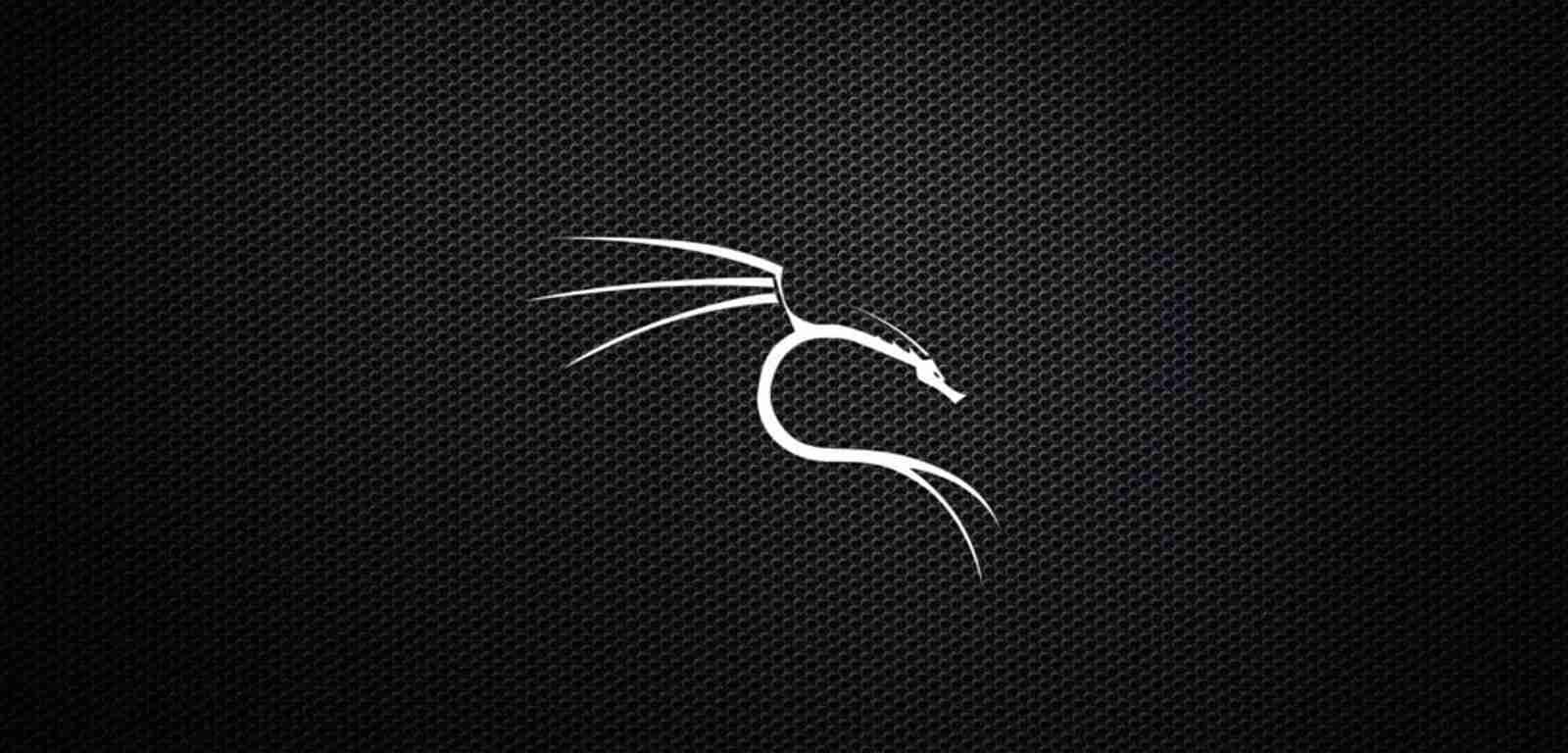 kali-linux-2020-4-switches-the-default-shell-from-bash-to-zsh-privacy