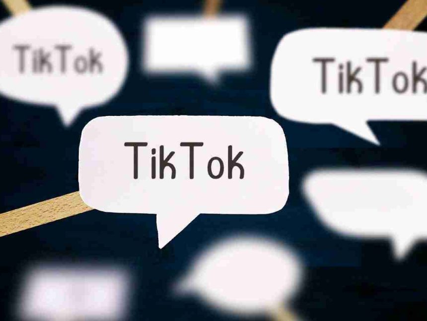 TikTok Fixes Flaws Allowing Theft Of Private User Information