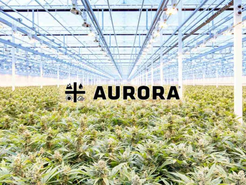 Hacker Sells Aurora Cannabis Files Stolen In Christmas Cyberattack