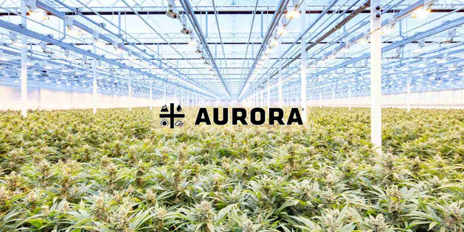 Hacker Sells Aurora Cannabis Files Stolen In Christmas Cyberattack