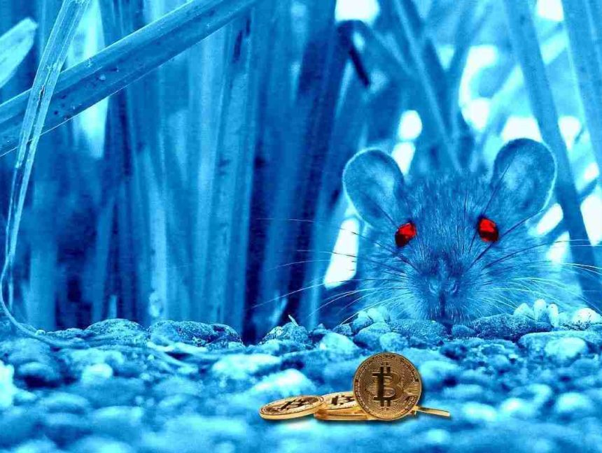 Cross-Platform ElectroRAT Malware Drains Cryptocurrency Wallets