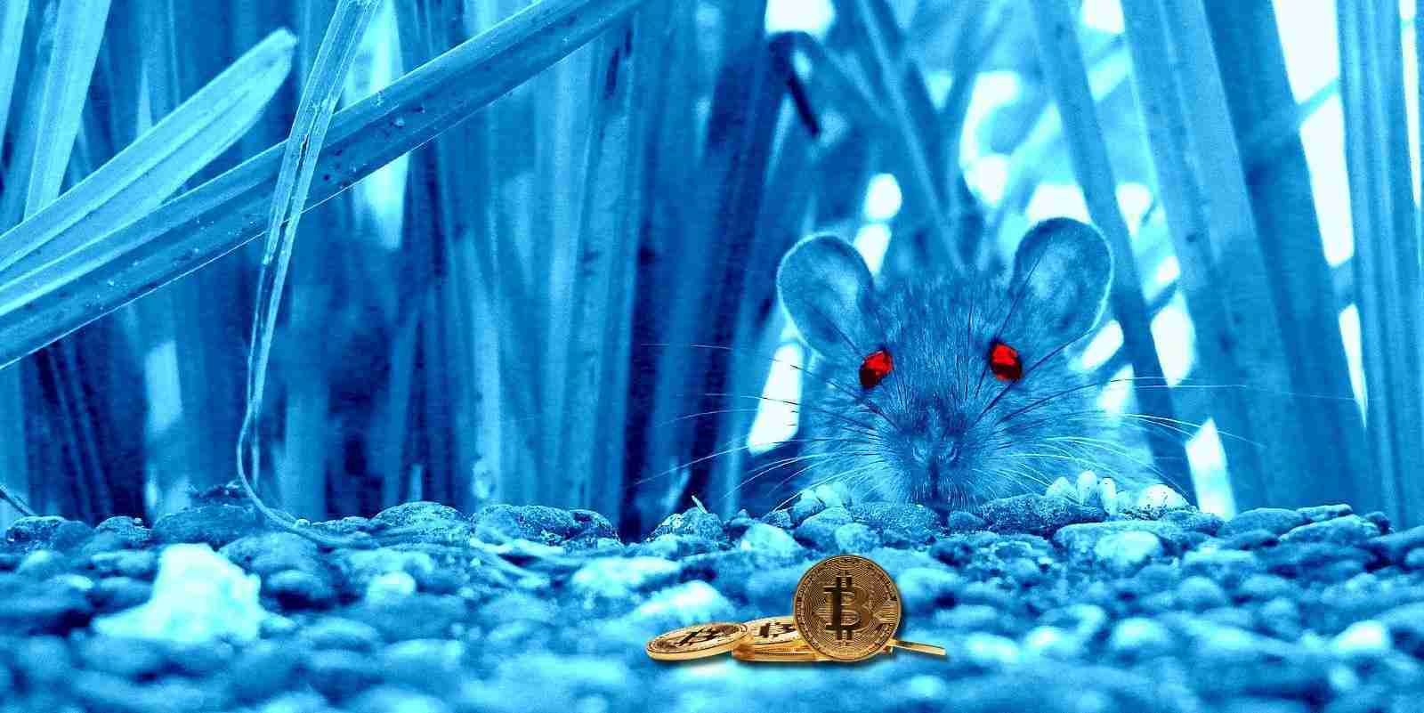 Cross-Platform ElectroRAT Malware Drains Cryptocurrency Wallets