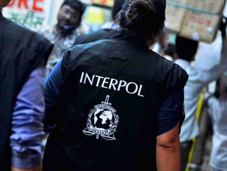 Interpol Intercepts $83 Million Fighting Financial Cyber Crime