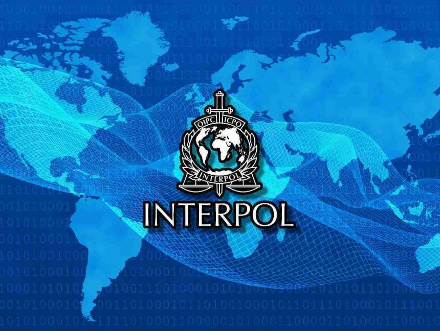 Interpol urges police to unite against ‘potential ransomware pandemic’