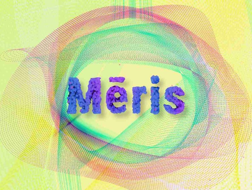 New Mēris Botnet Breaks DDoS Record With 21.8 Million RPS Attack