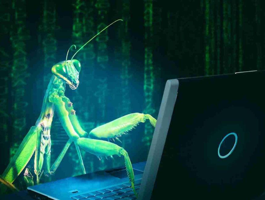 CISA Urges Admins To Patch Critical Discourse Code Execution Bug