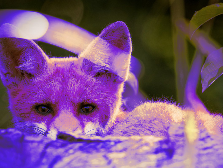 New PurpleFox Botnet Variant Uses WebSockets For C2 Communication