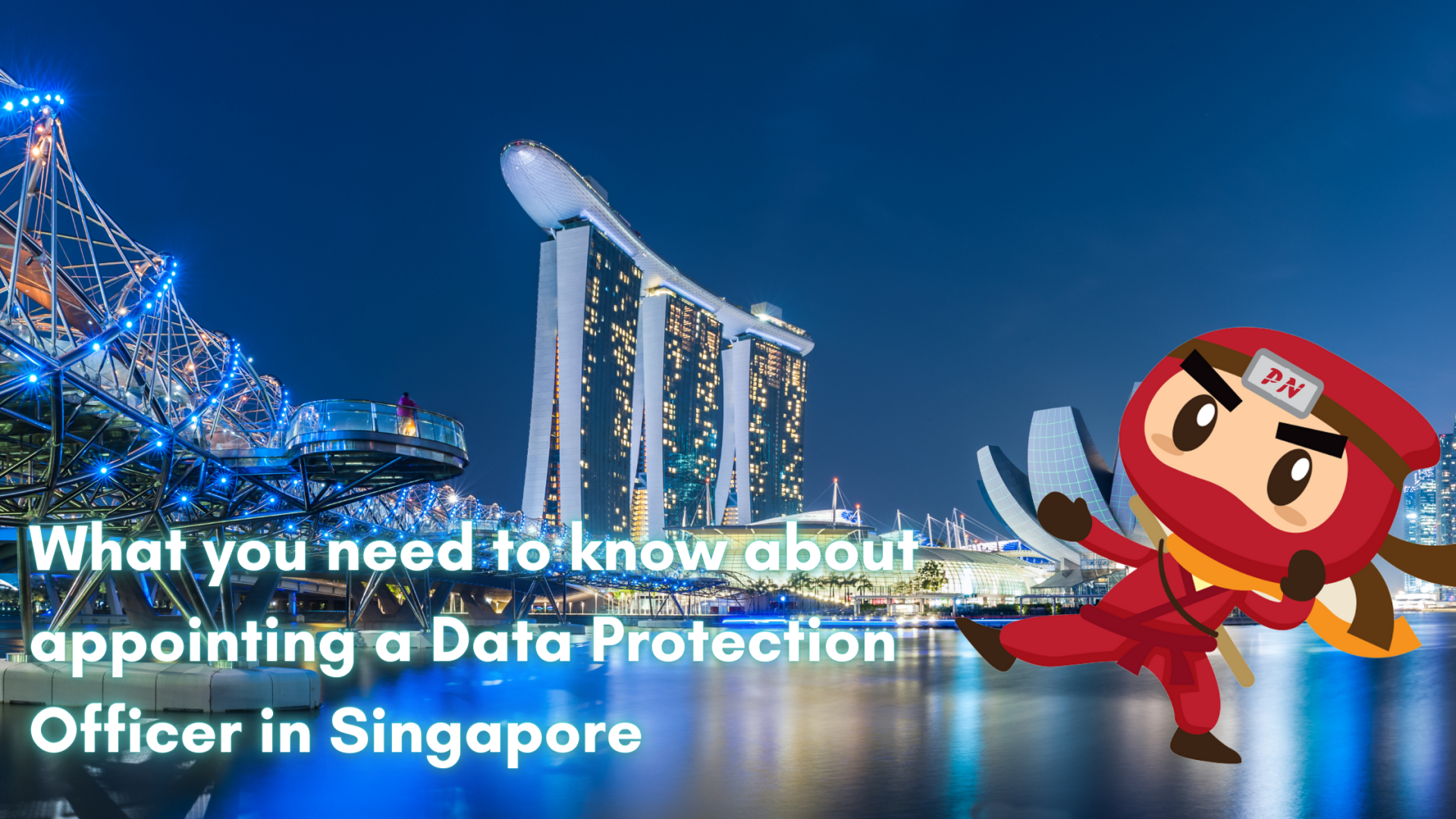 What You Need To Know About Appointing A Data Protection Officer In Singapore In 2023