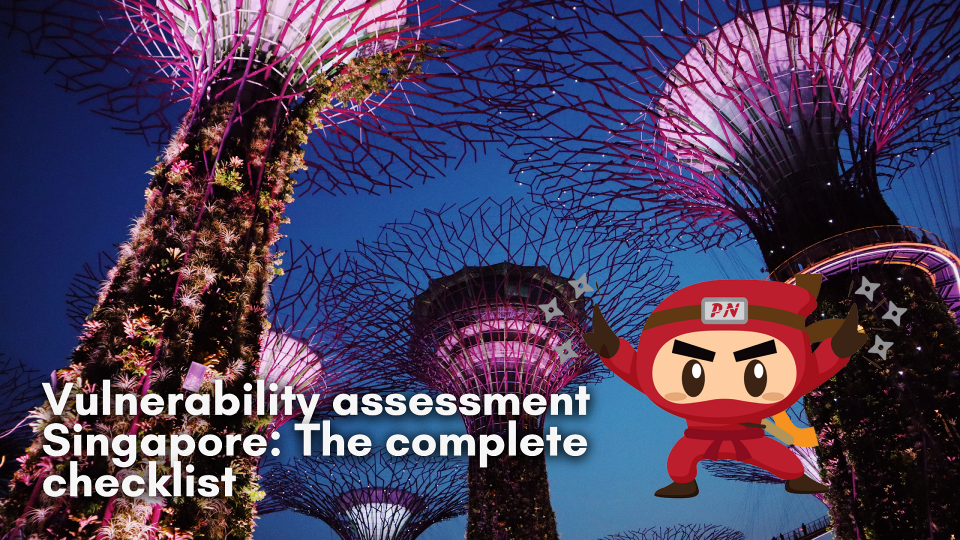 Vulnerability assessment Singapore: The complete checklist