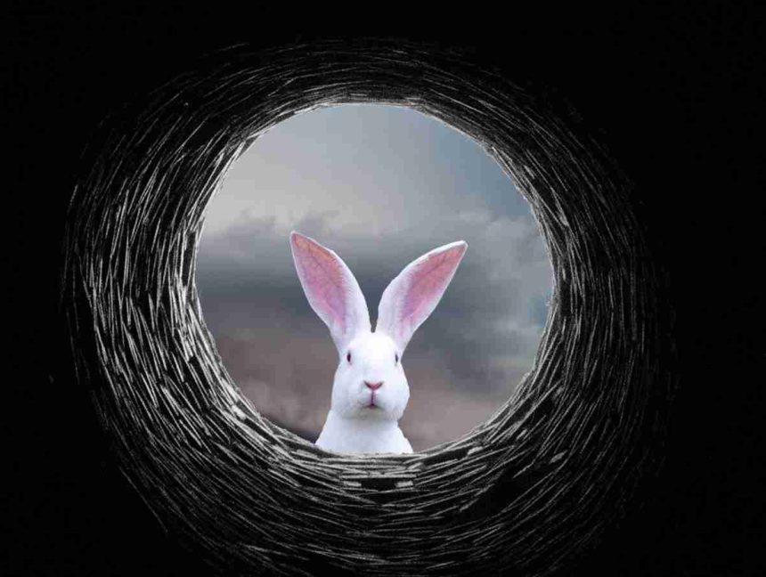 New White Rabbit Ransomware Linked to FIN8 Hacking Group