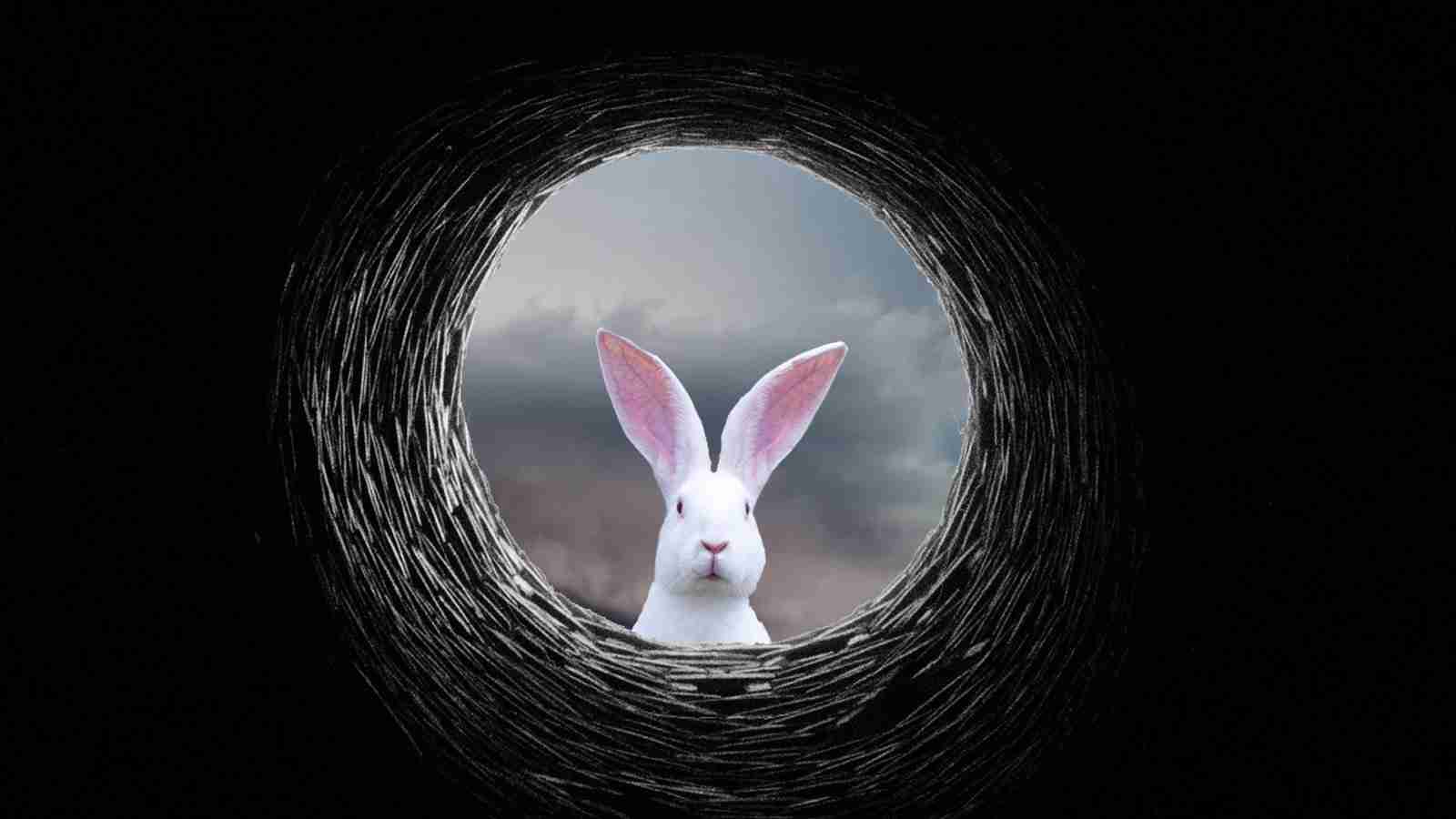 New White Rabbit Ransomware Linked to FIN8 Hacking Group