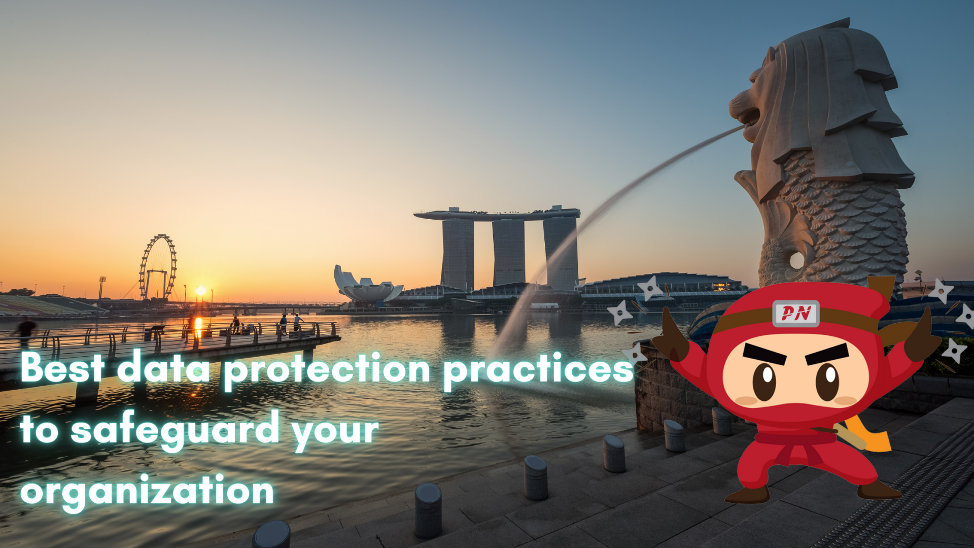 Best data protection practices to safeguard your organization