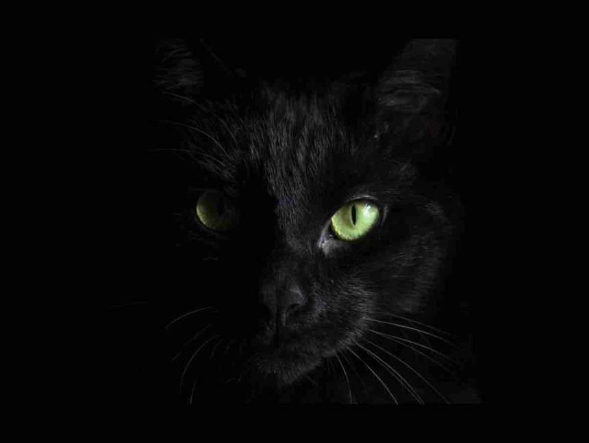 BlackCat (ALPHV) Ransomware Linked to BlackMatter, DarkSide Gangs