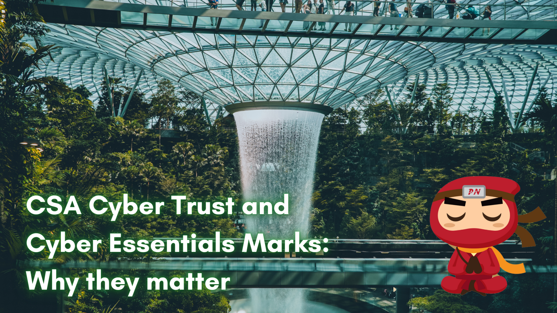 CSA Cyber Trust and Cyber Essentials Marks: Why they matter