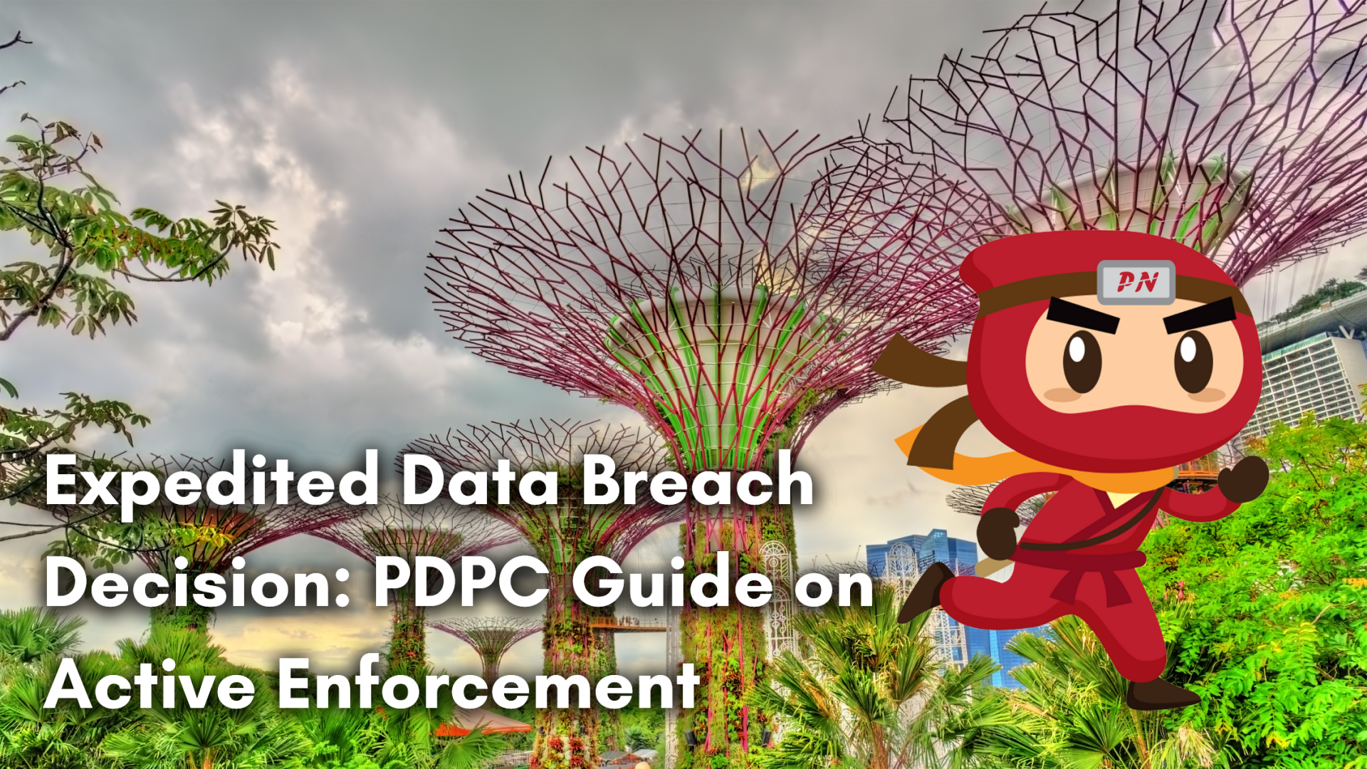 Expedited Data Breach Decision: PDPC Guide on Active Enforcement