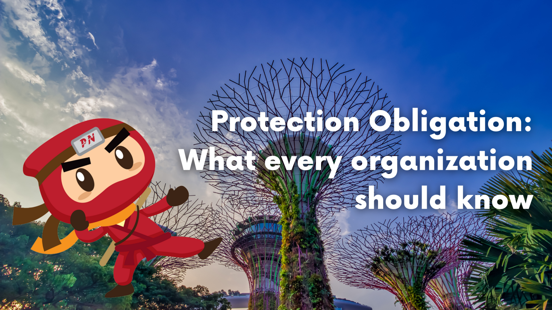 Protection Obligation: What every organization should know