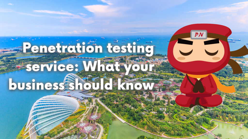 Penetration testing service
