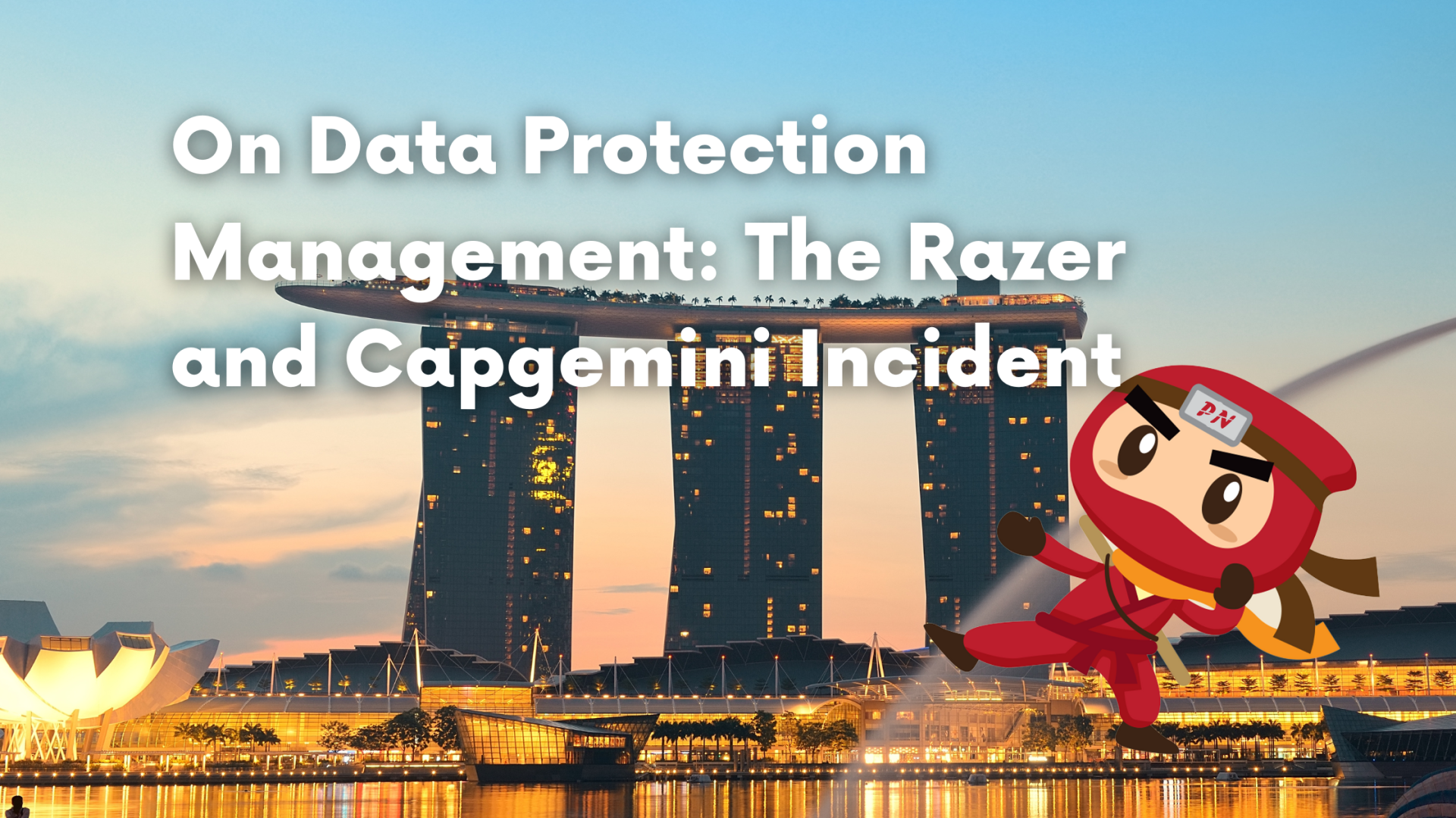 On Data Protection Management: The Razer and Capgemini Incident