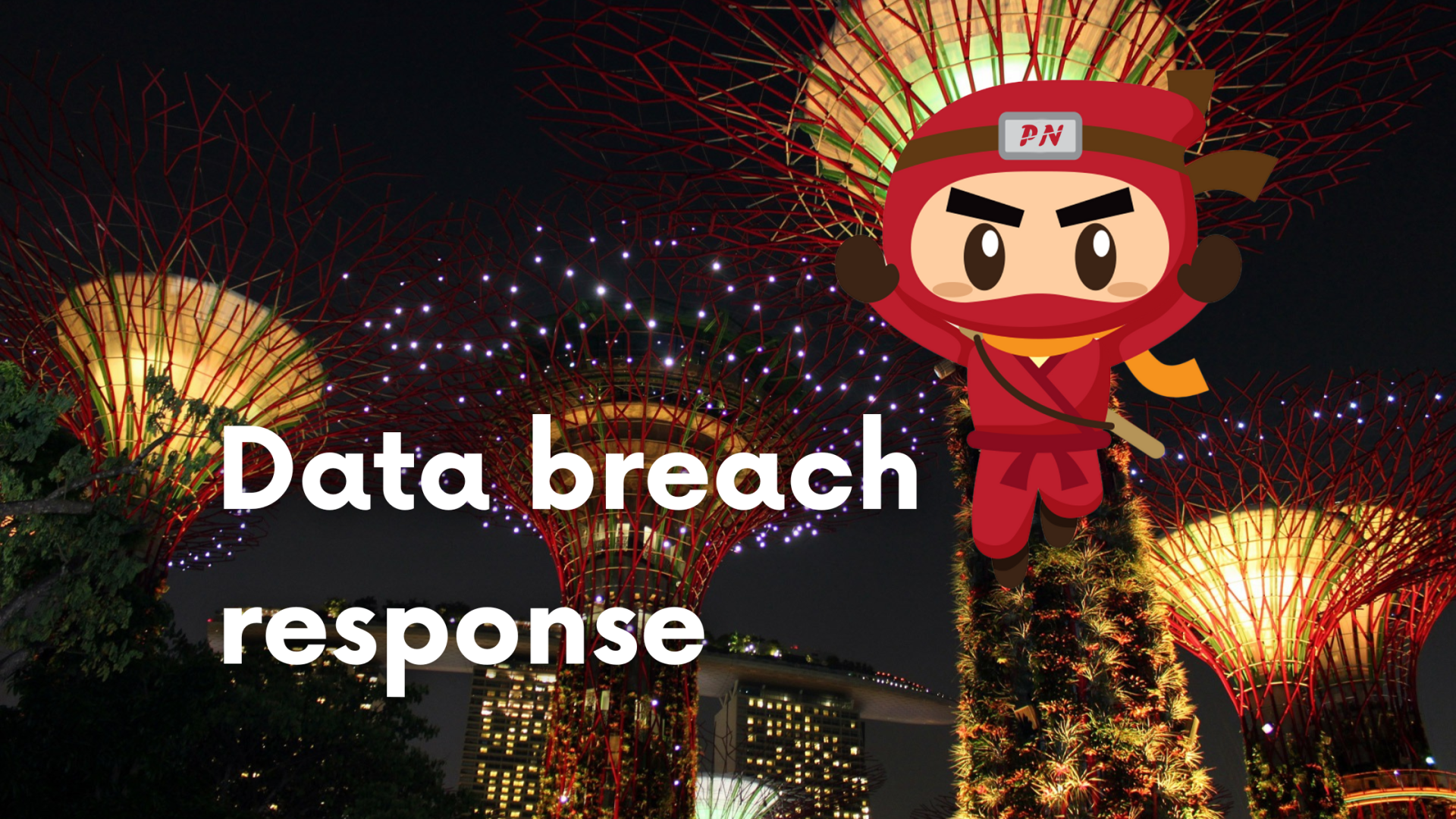 A guide to data breach response: What organisations should know